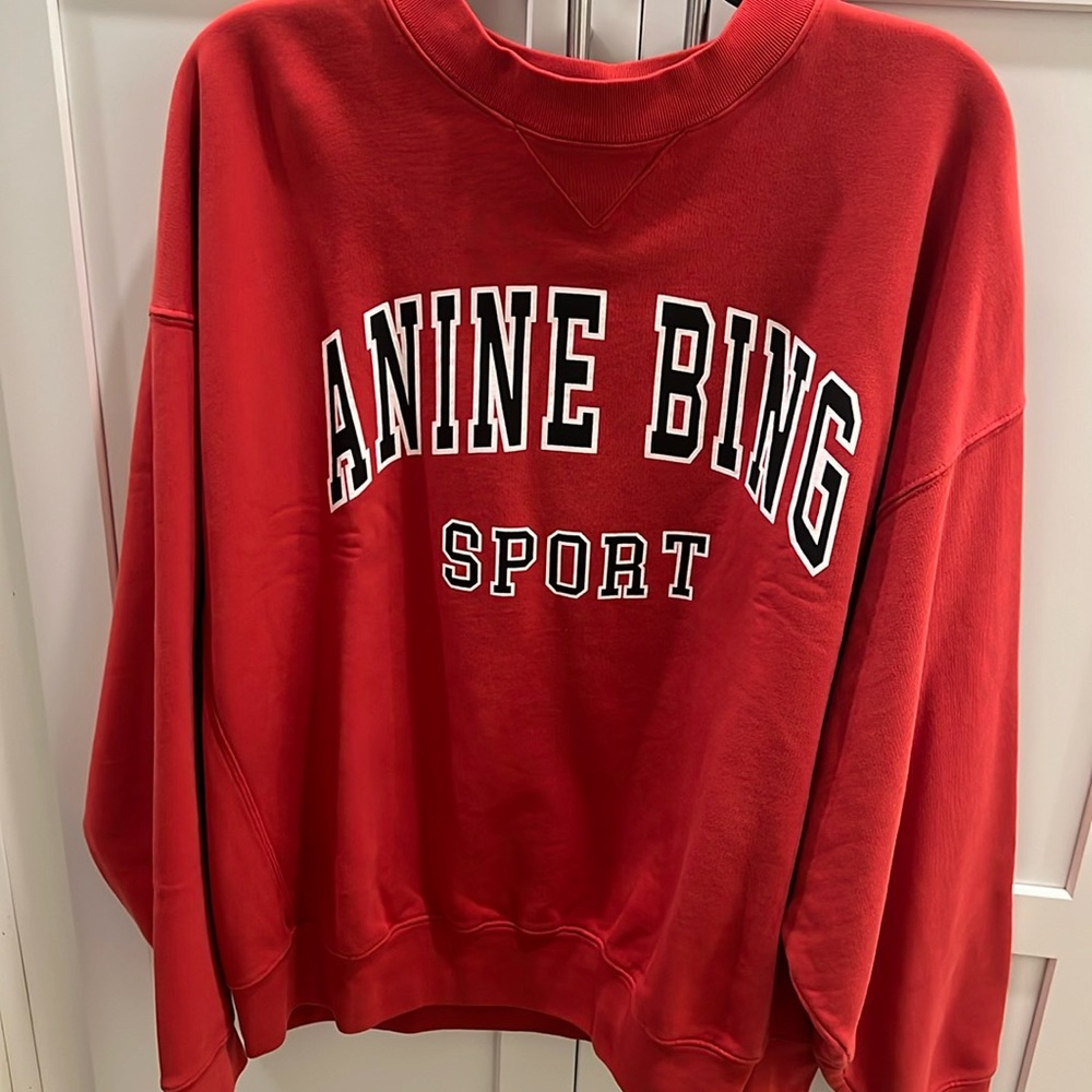 Anine Bing